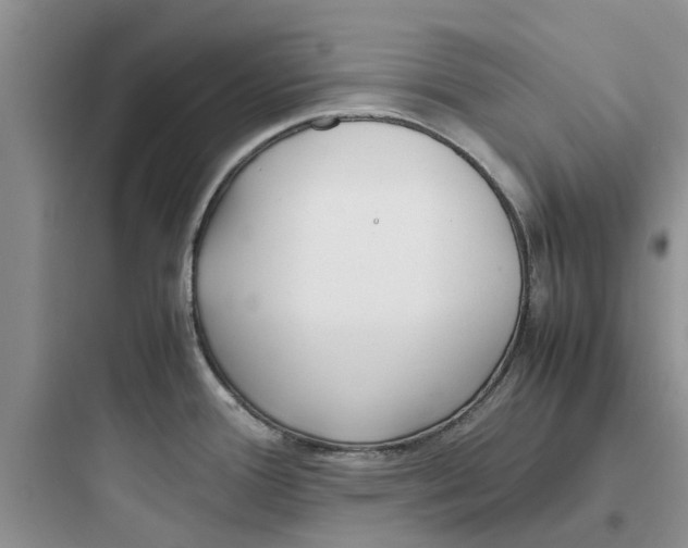 X0000097641388200803211822