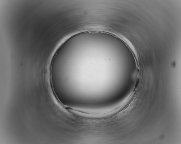 X0000097641389200803211822