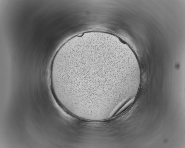 X0000097641391200803211822