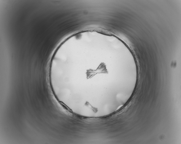 X0000097641392200803211822