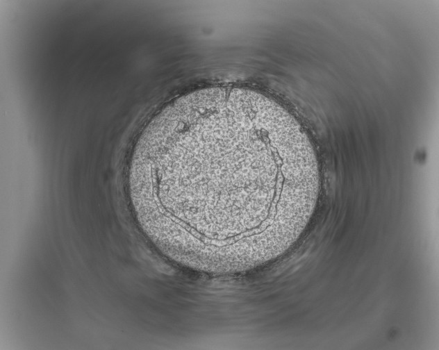 X0000097641393200803211822