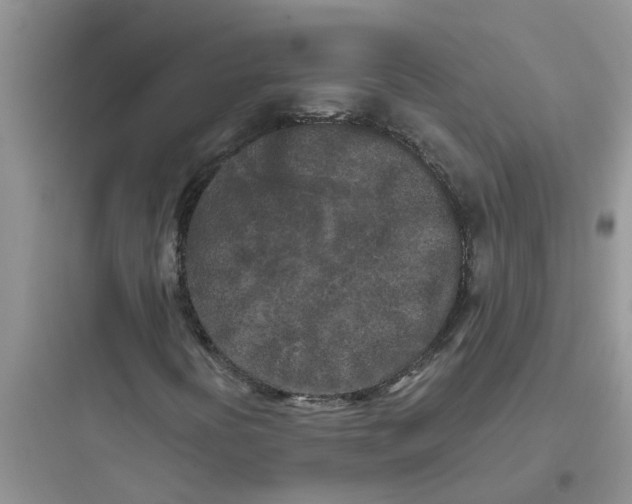 X0000097641394200803211822