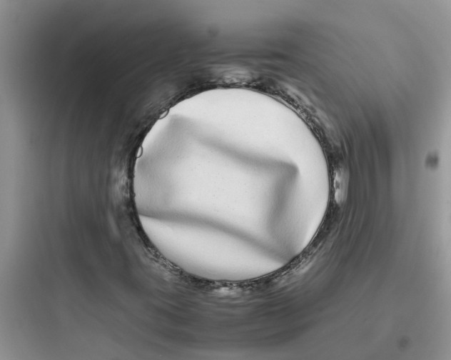 X0000097641395200803211822