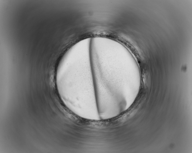 X0000097641396200803211822