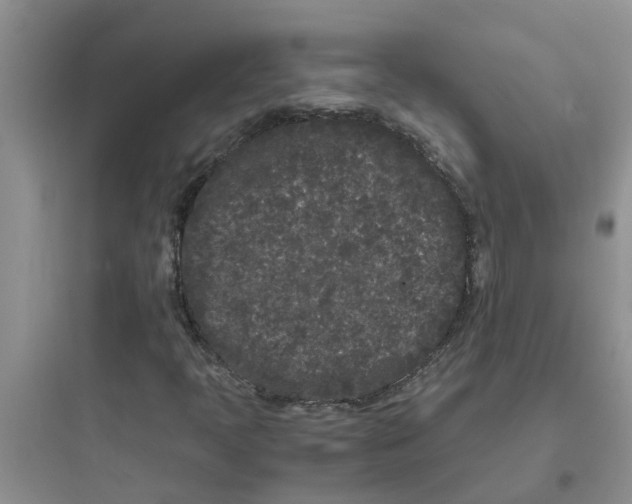 X0000097641397200803211822