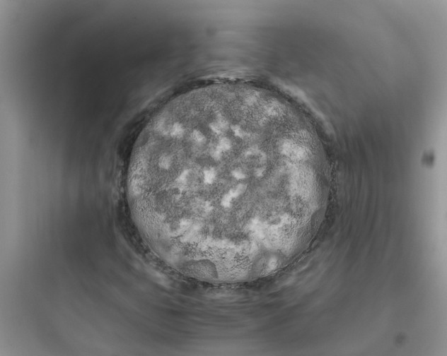 X0000097641399200803211822