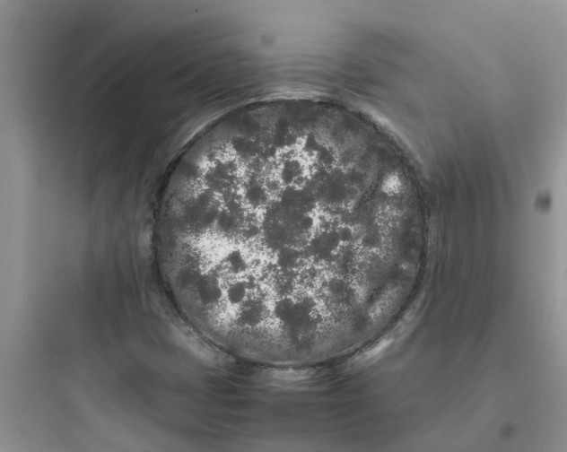 X0000097641401200803211822