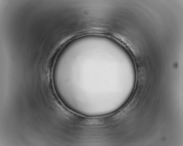 X0000097641402200803211822