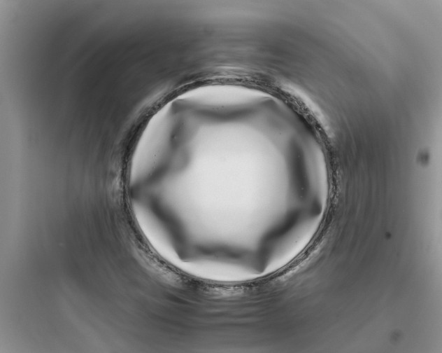 X0000097641403200803211822