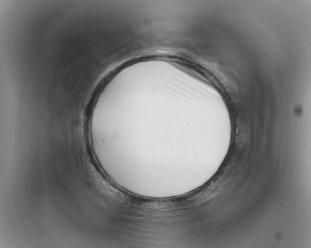 X0000097641404200803211822