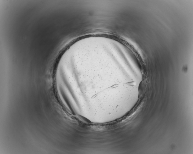 X0000097641407200803211822