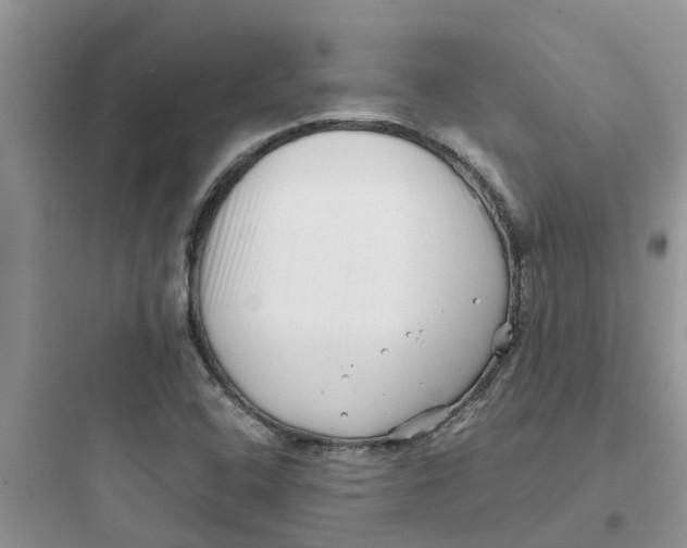 X0000097641408200803211822