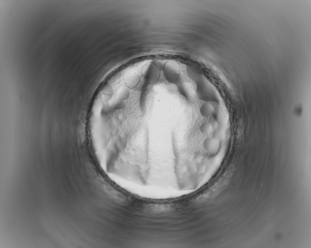 X0000097641409200803211822