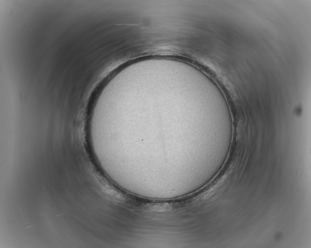 X0000097641410200803211822