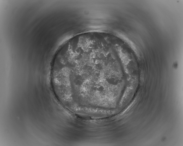 X0000097641411200803211822