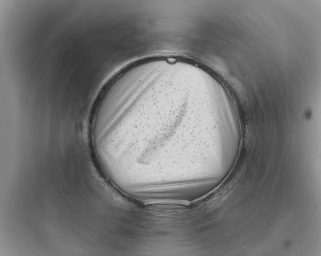 X0000097641412200803211822