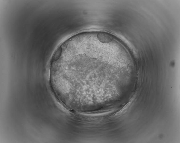 X0000097641413200803211822