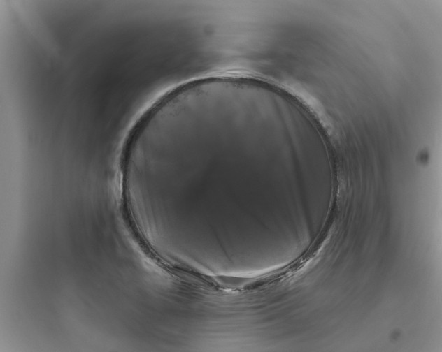 X0000097641414200803211822