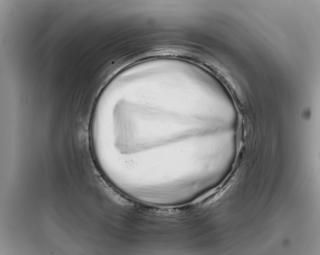 X0000097641417200803211822