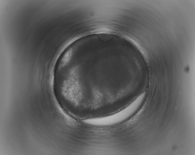 X0000097641418200803211822