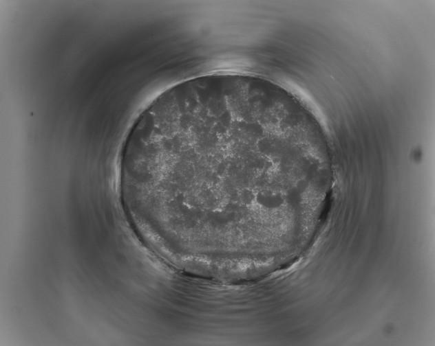 X0000097641419200803211822