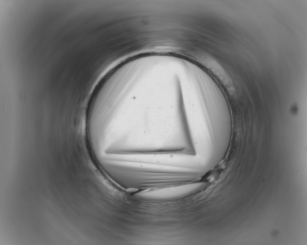 X0000097641420200803211822