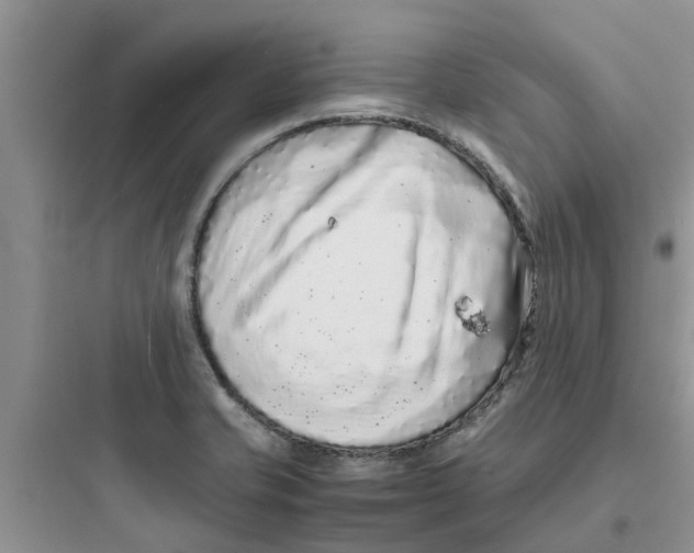 X0000097641421200803211822