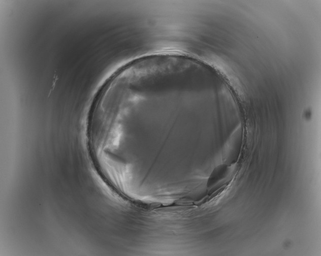 X0000097641422200803211822