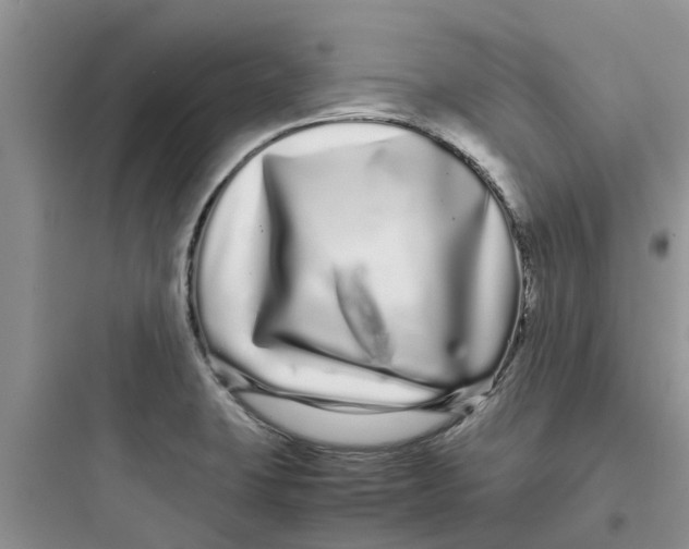 X0000097641423200803211822