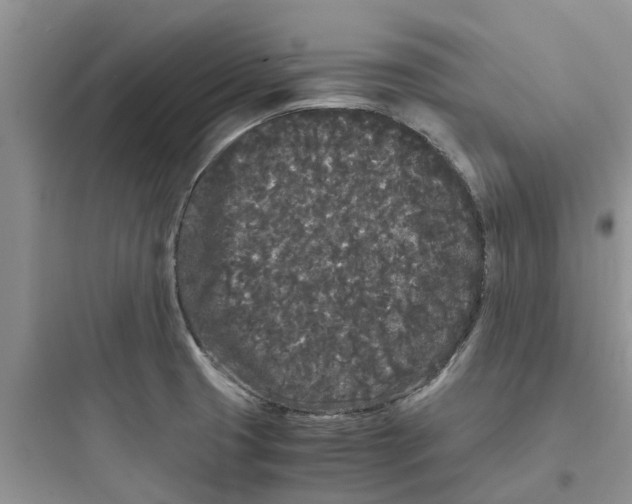 X0000097641425200803211822