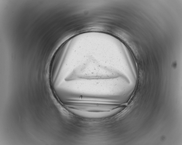 X0000097641426200803211822