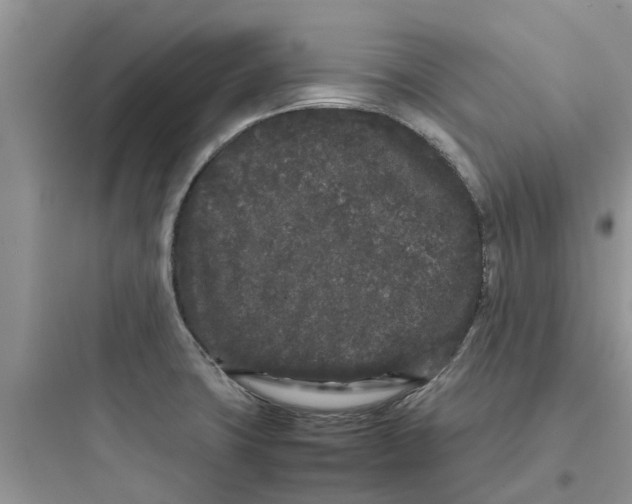 X0000097641427200803211822