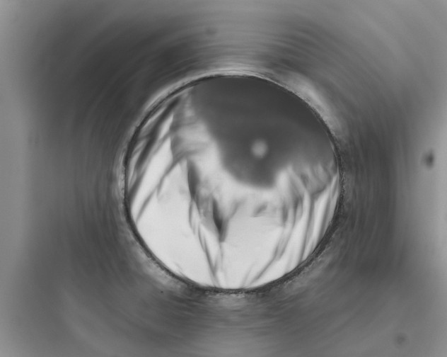 X0000097641428200803211822