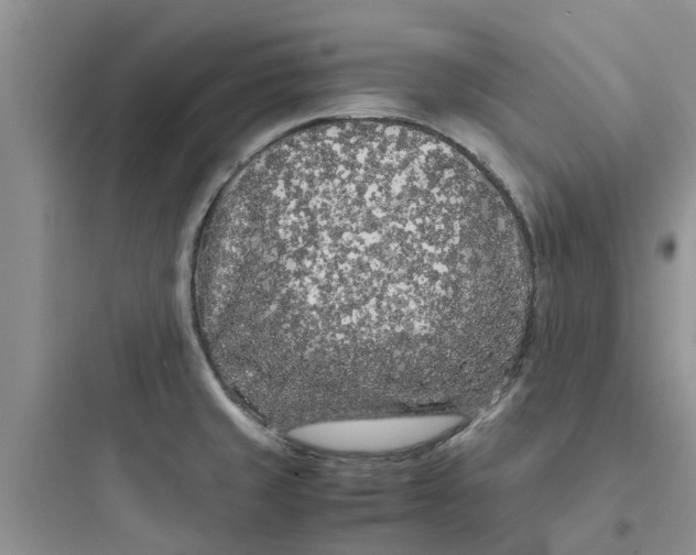 X0000097641429200803211822