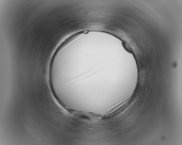 X0000097641432200803211822