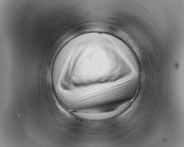 X0000097641433200803211822