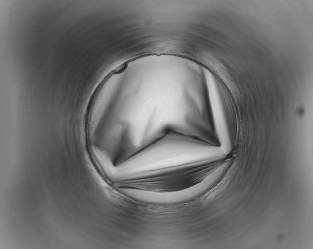 X0000097641434200803211822