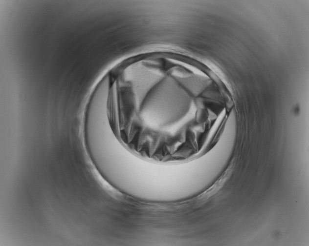 X0000097641438200803211822