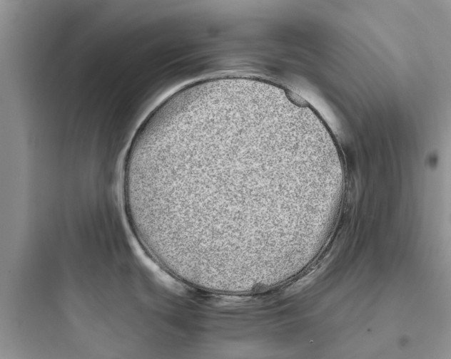 X0000097641439200803211822