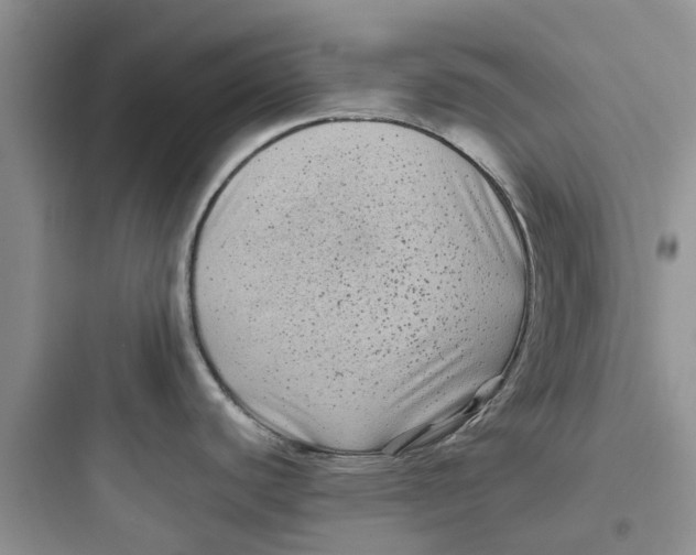 X0000097641440200803211822