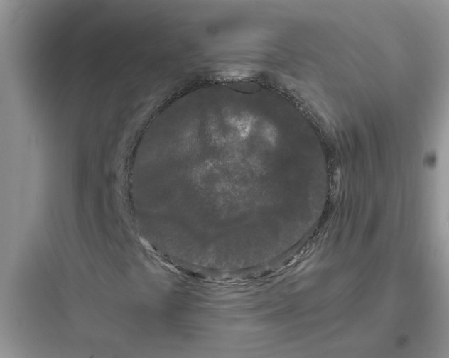 X0000097641441200803211822