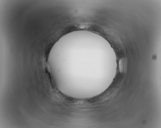 X0000097641443200803211822