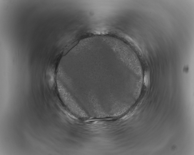 X0000097641444200803211821