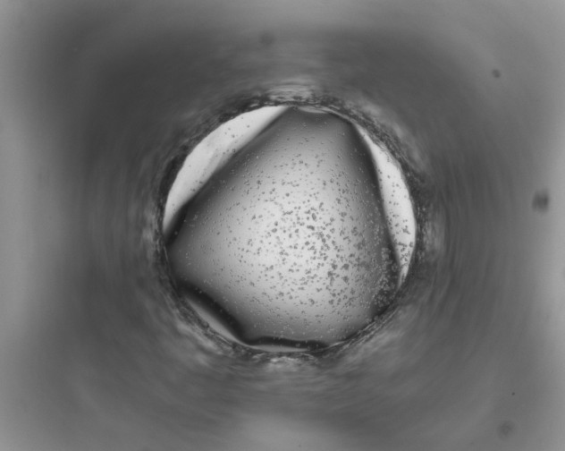 X0000097641445200803211821