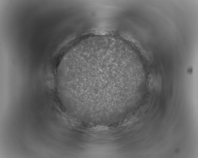 X0000097641446200803211821