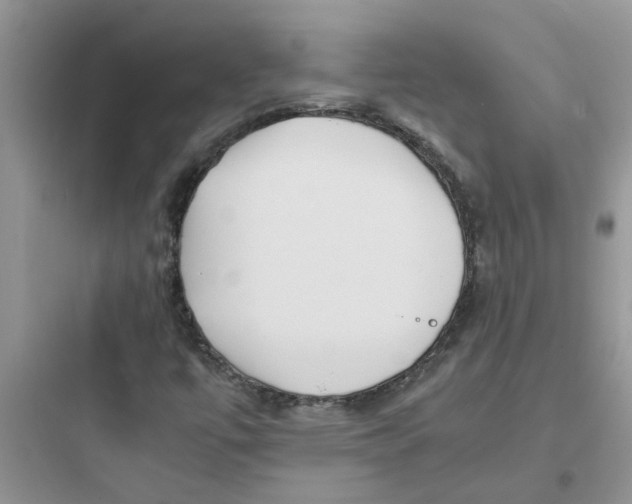 X0000097641447200803211821