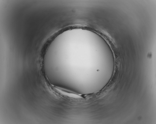 X0000097641448200803211821