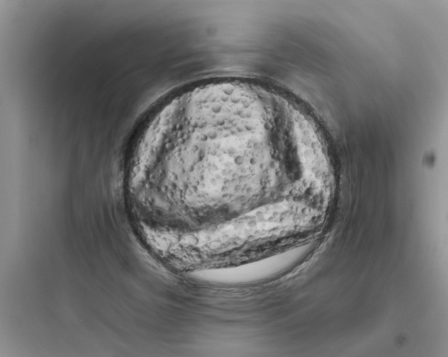 X0000097641450200803211821