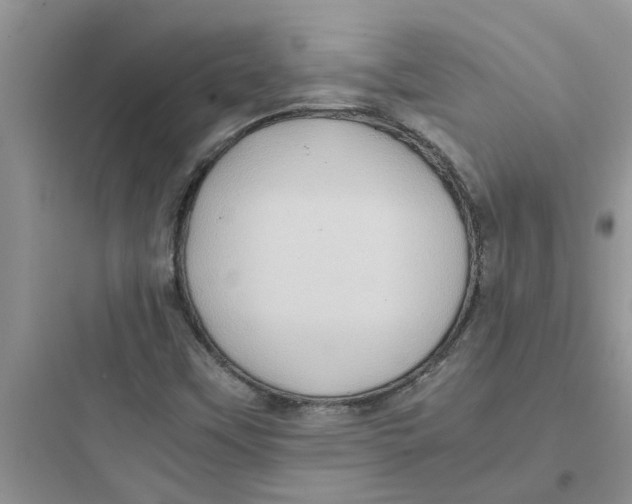 X0000097641451200803211821