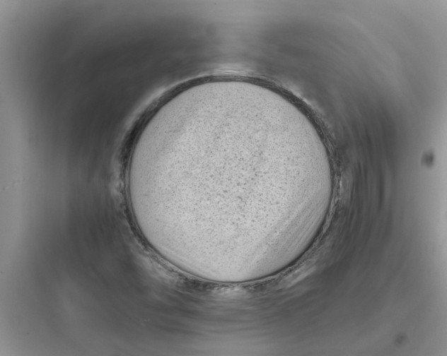 X0000097641454200803211821